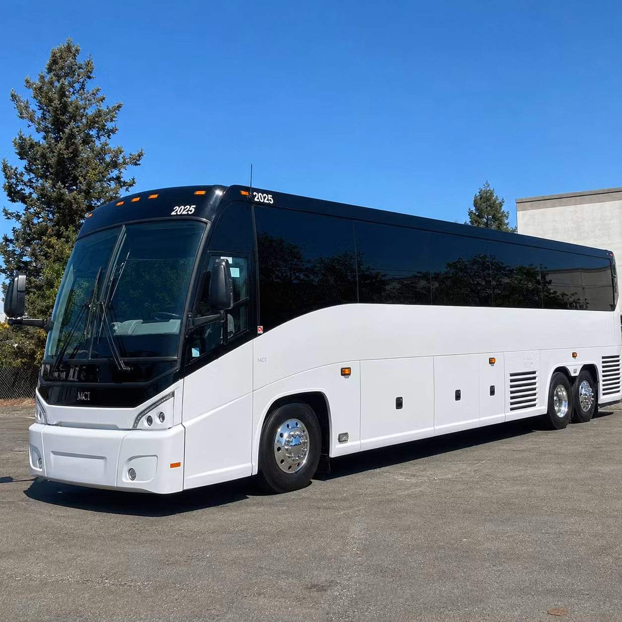 56 passenger charter bus